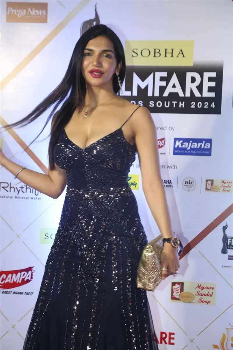 Tollywood Celebraties at Filmfare Awards South 2024 Red Carpet